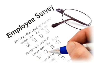 CarShop Colleague Satisfaction Hits Record High